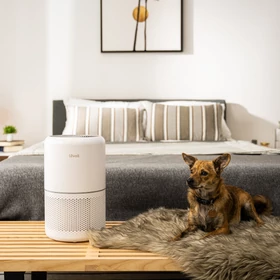 Kép 11/12 - Levoit Core 300 Smart Légtisztító Core 300S